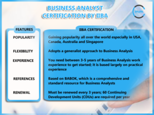 Business Analyst Certification By IIBA | MindsMapped